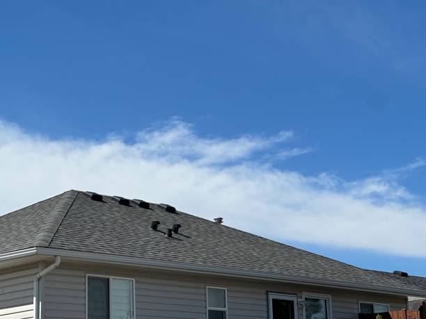 Fast & Reliable Emergency Roof Repairs in St Johns, AZ