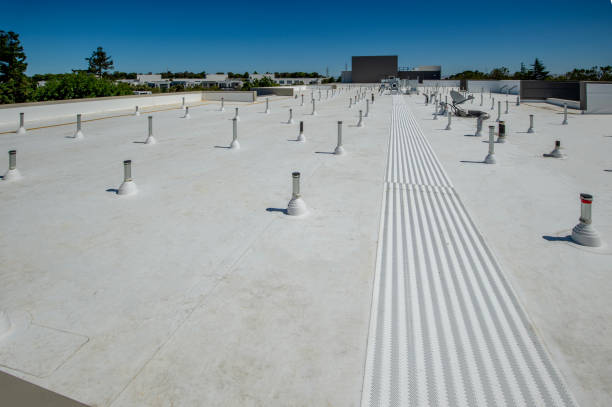 Best Sheet Metal Roofing  in St Johns, AZ